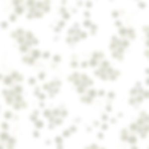 Meet your Posher, Kai